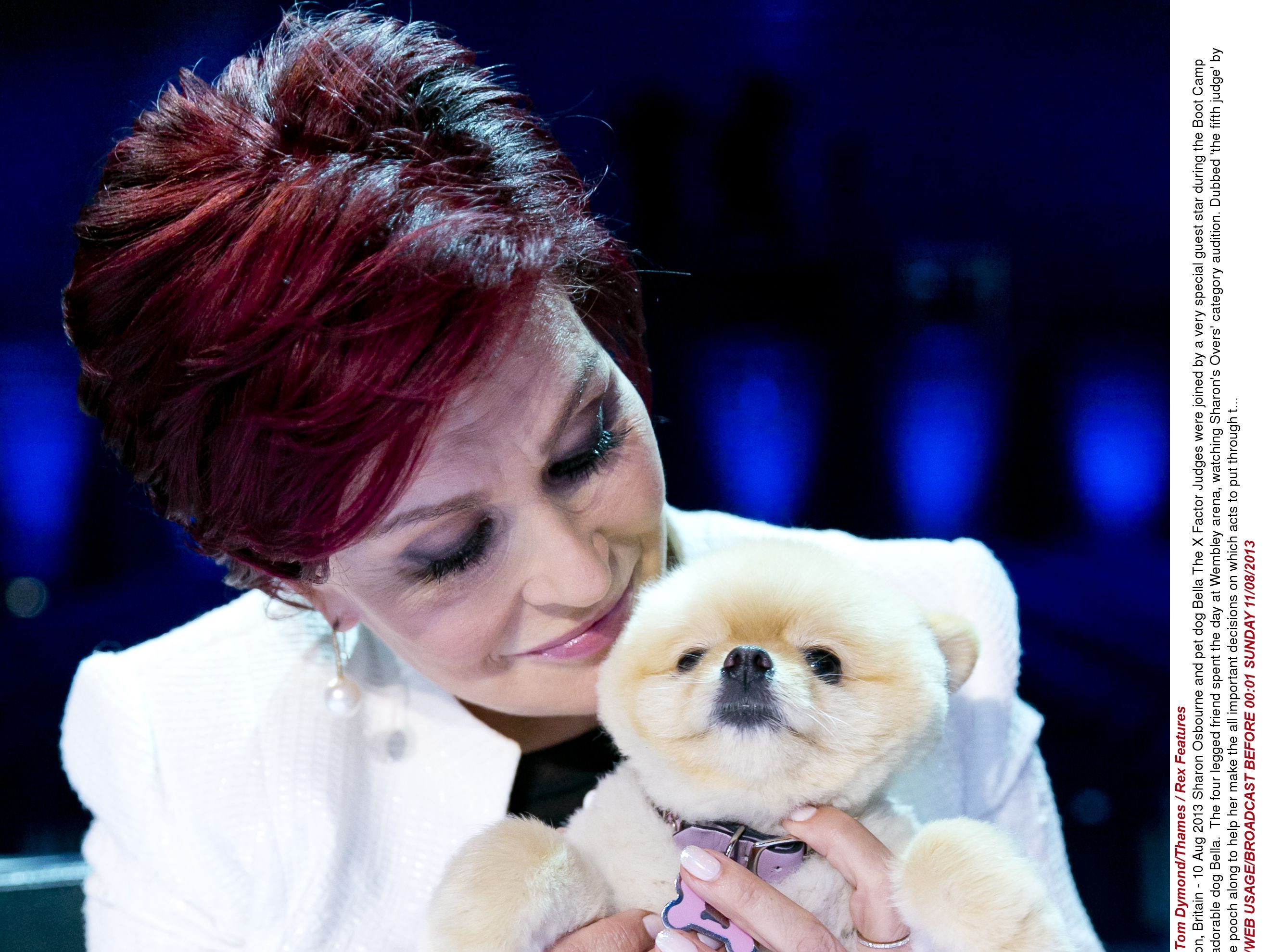 what breed of dog does sharon osbourne have