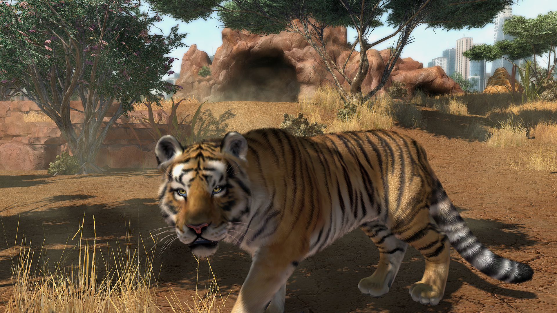Zoo Tycoon will let you help real-life animals - Polygon