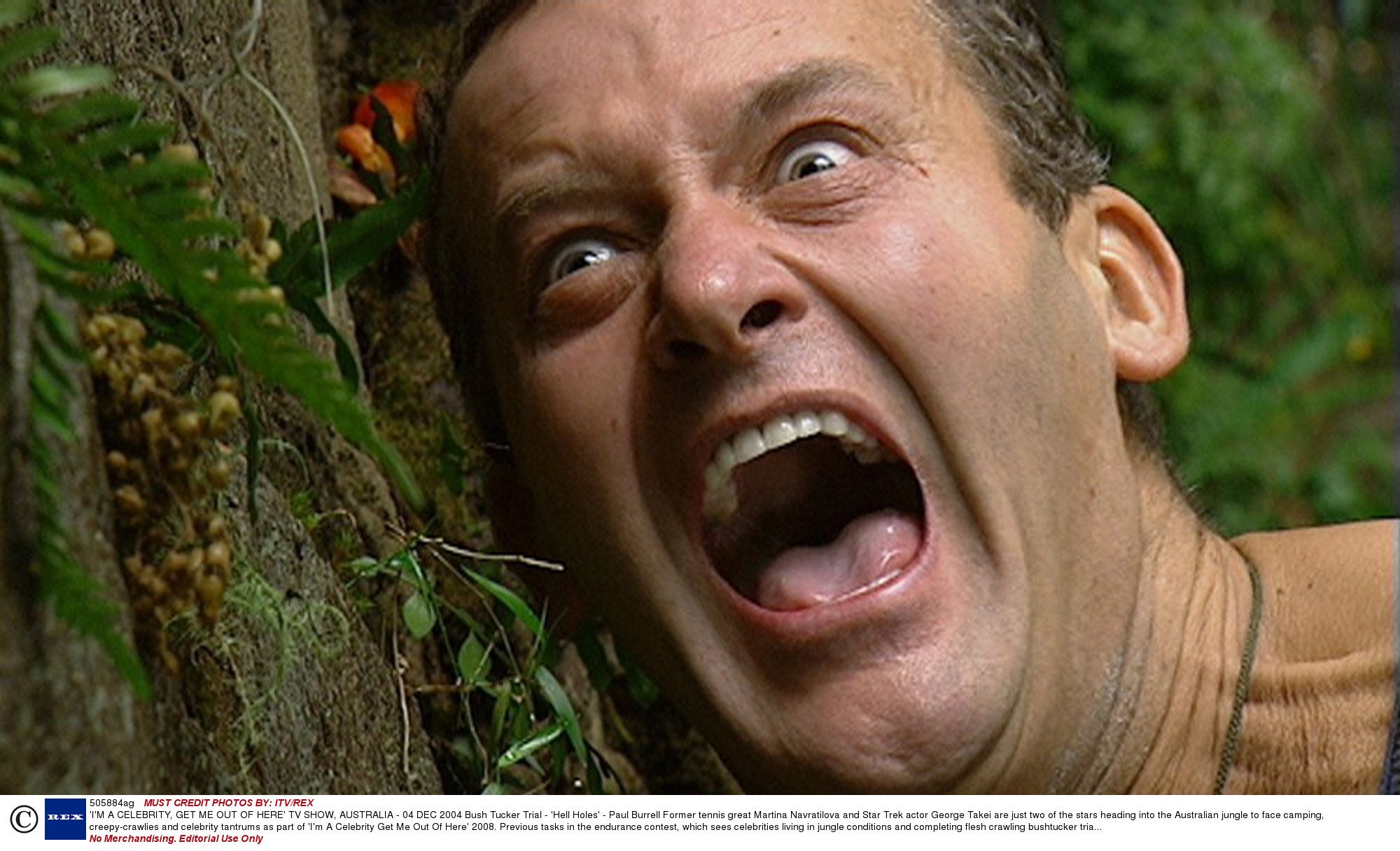 I'm a Celeb's 9 most hysterical stars