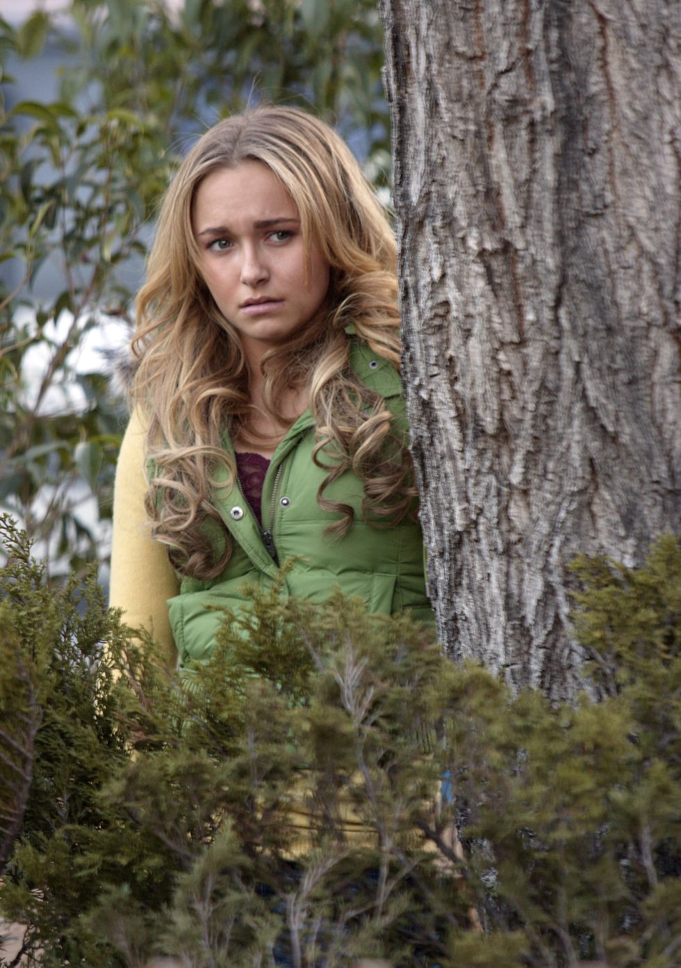 Hair, People in nature, Tree, Blond, Long hair, Beauty, Hairstyle, Brown hair, Trunk, Photo shoot, 