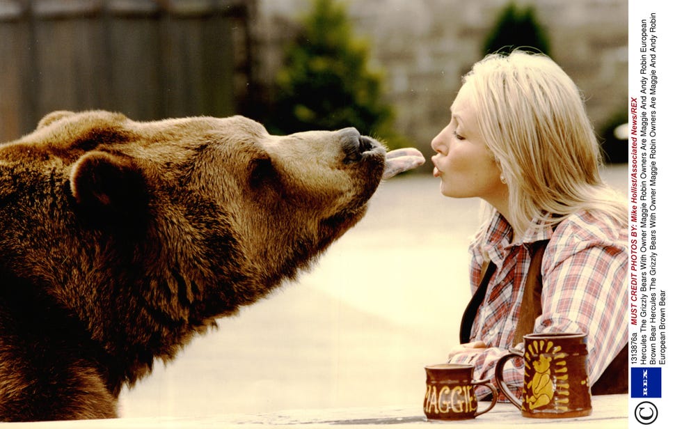 Hercules The Human Bear Full Documentary Hercules the Human Bear gets C5 doc