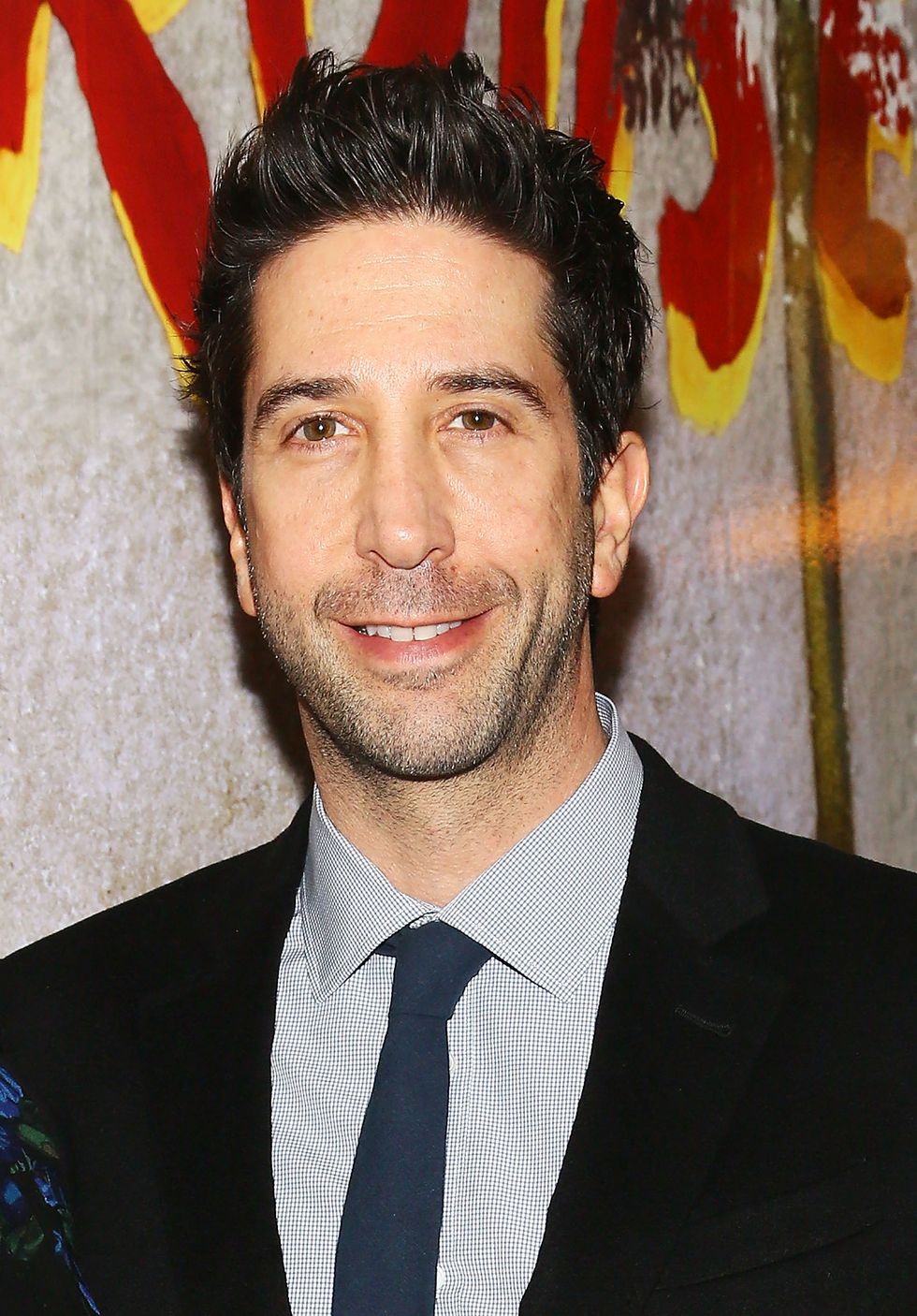 Breaking Bad star in David Schwimmer play