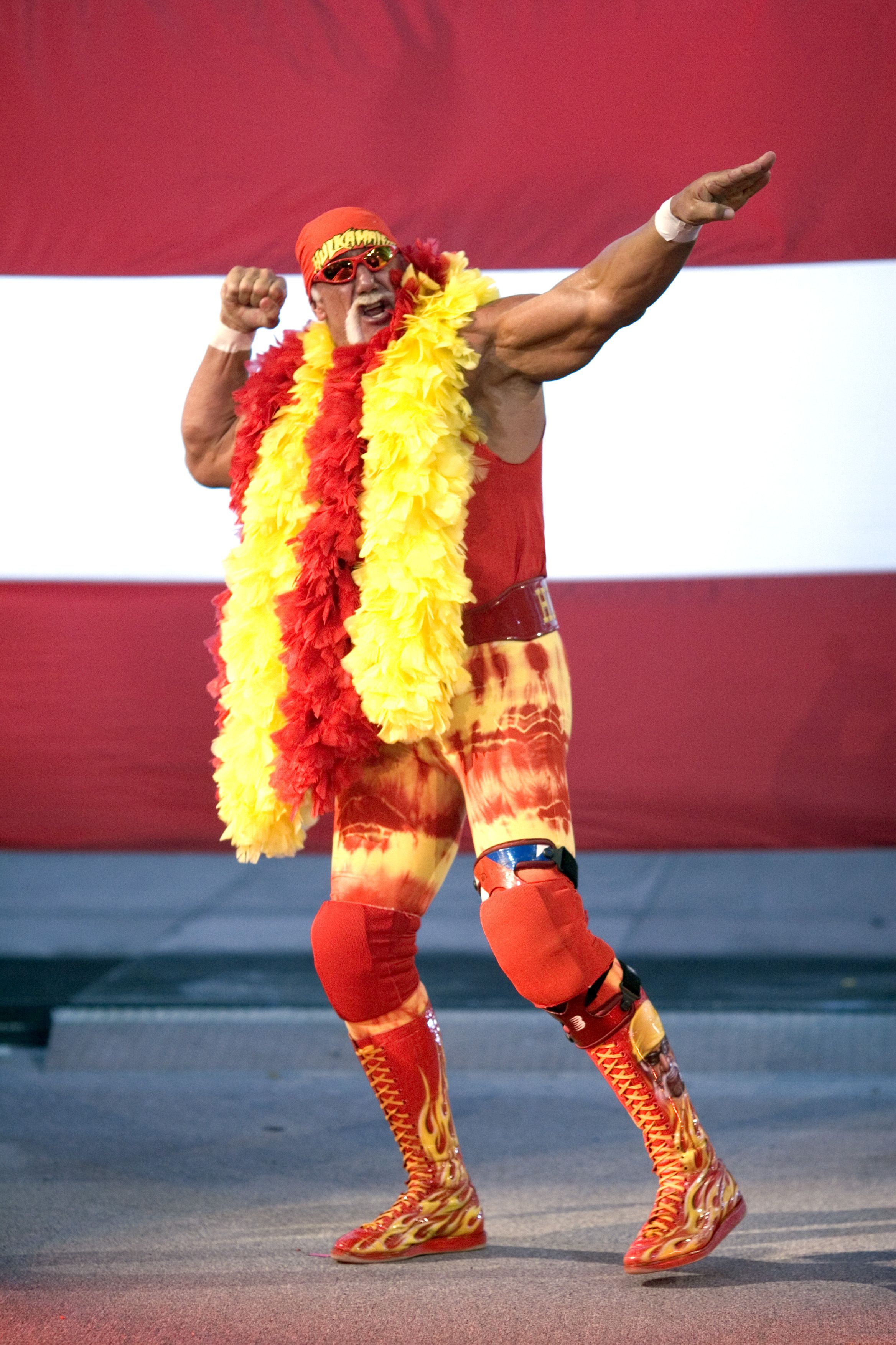 Who Sings Hulk Hogan Theme Song Cheap Sale | sims.mpob.gov.my