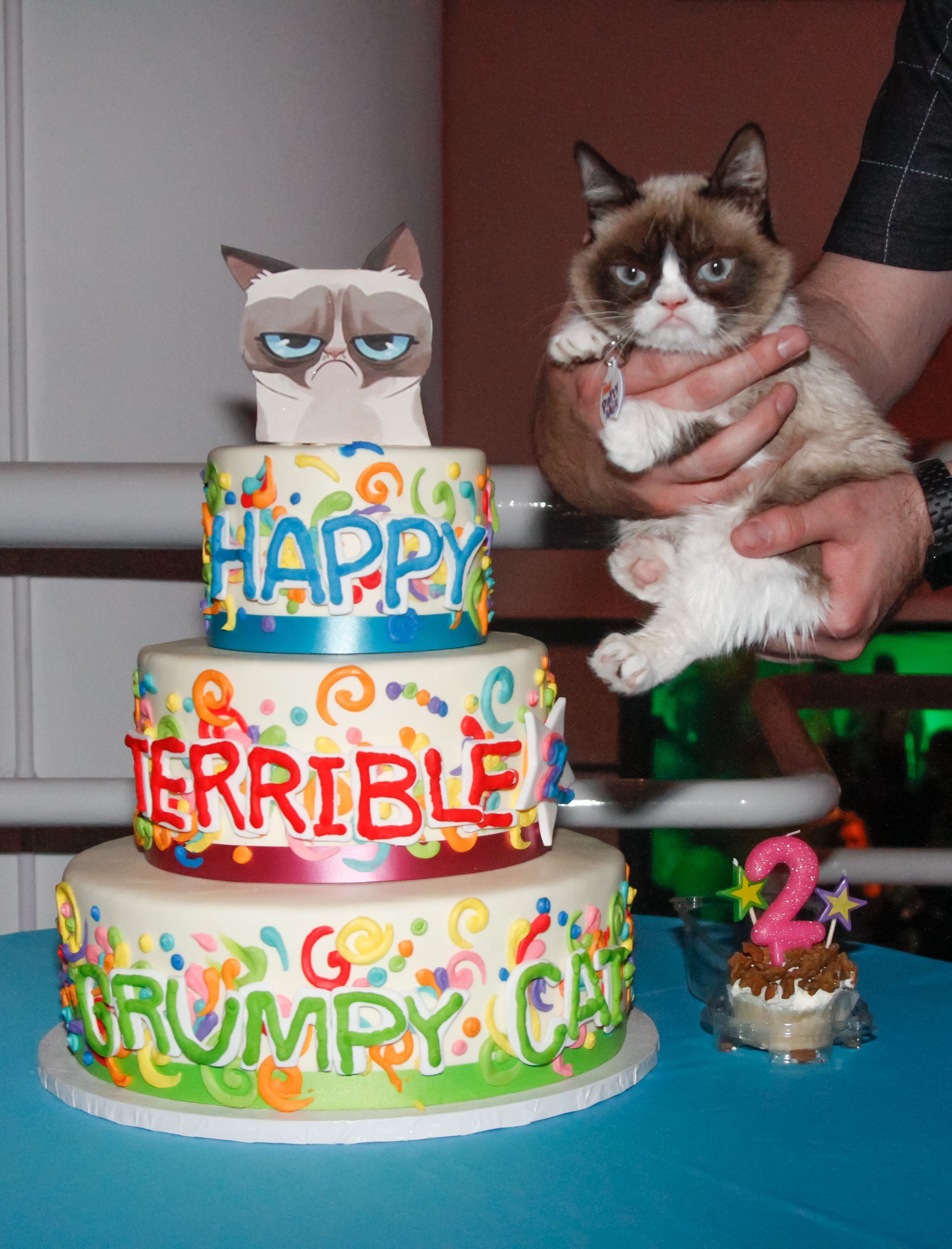 Grumpy Cat Birthday Party
