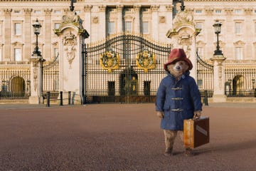 paddington