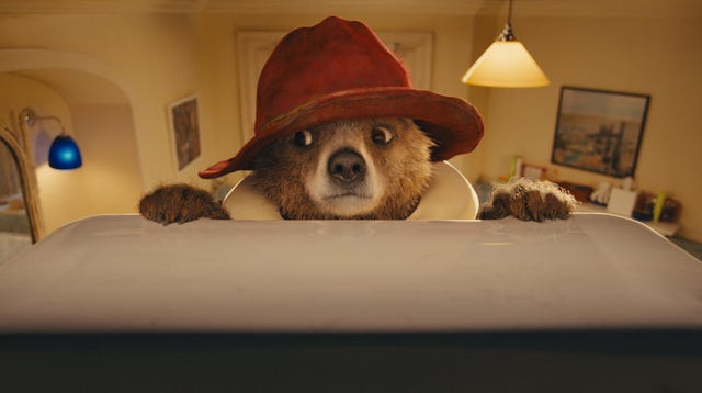lighting, dog breed, hat, room, carnivore, lampshade, lamp, interior design, lighting accessory, light fixture,