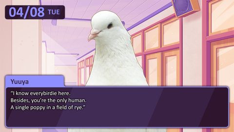 Pigeon Dating Game Angel