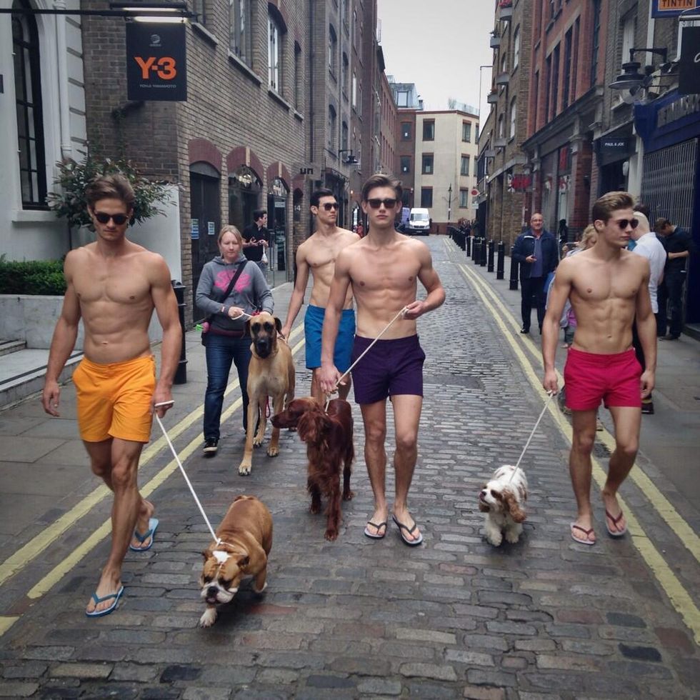 Gay Spy: Cute guys & dogs come out for LC:M