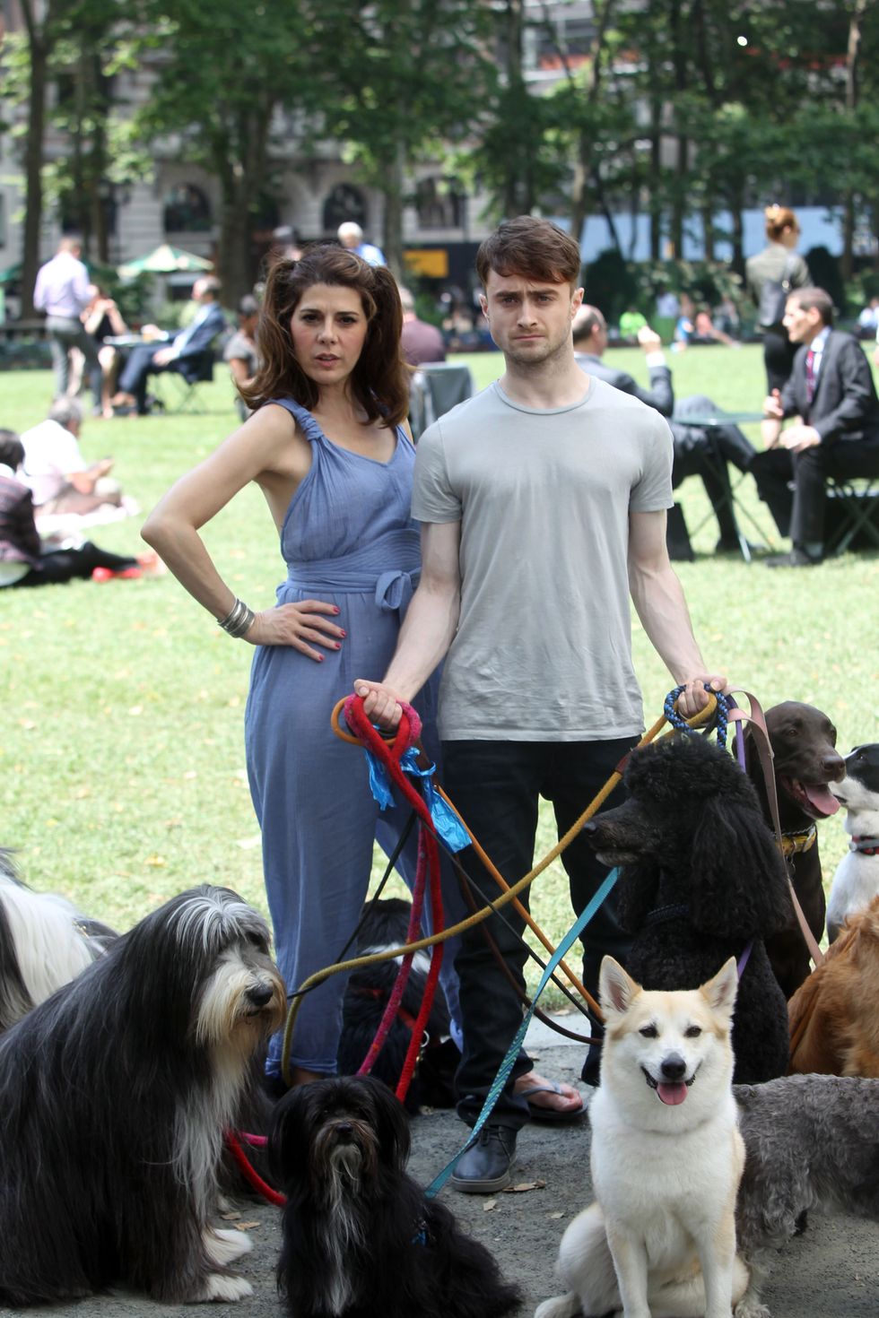 See Daniel Radcliffe with canine chums