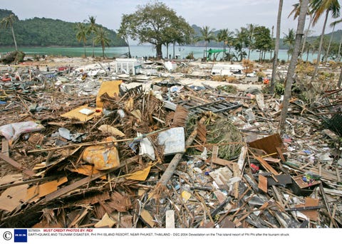 Litter, Waste, Pollution, Scrap, Arecales, Palmier, Tropics, Plastic, Material de construcție,