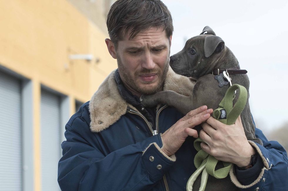 In 'The Drop,' Tom Hardy stayed still on camera, and unbridled off