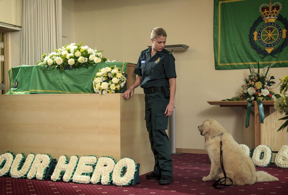 Human, Dog breed, Dog, Carnivore, Mammal, Sporting Group, Companion dog, Bouquet, Picture frame, Military person, 