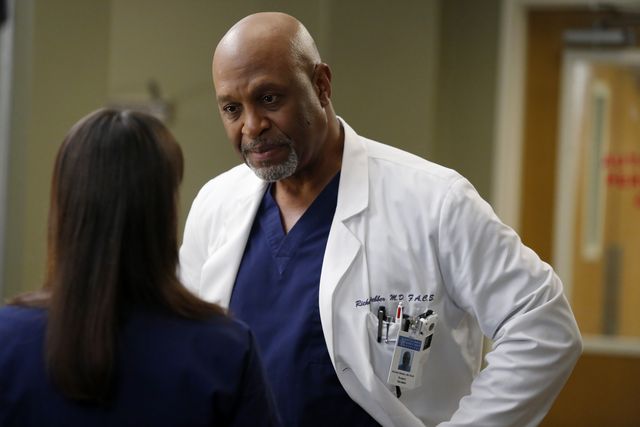 Grey's Anatomy season 20 delayed indefinitely