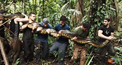 No One Got Eaten In The Eaten Alive Doc