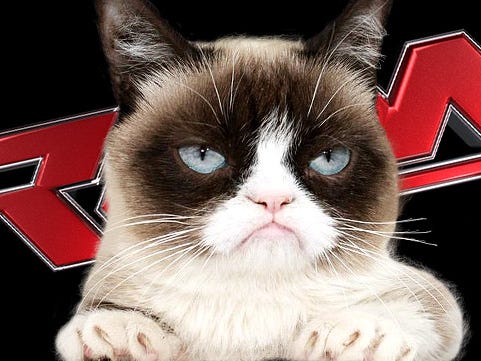 Grumpy Cat: World Bids Farewell To Meme Sensation