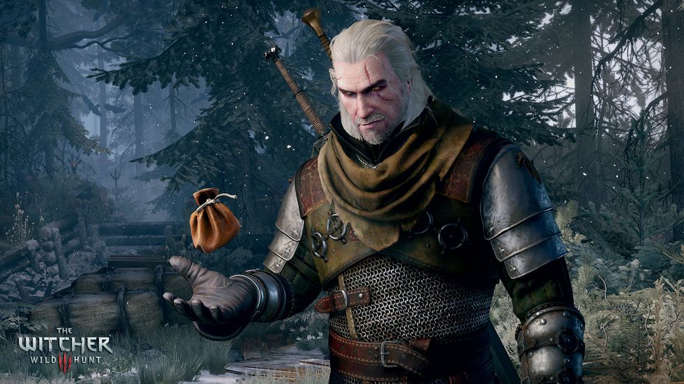 The Witcher 3: Wild Hunt, Software