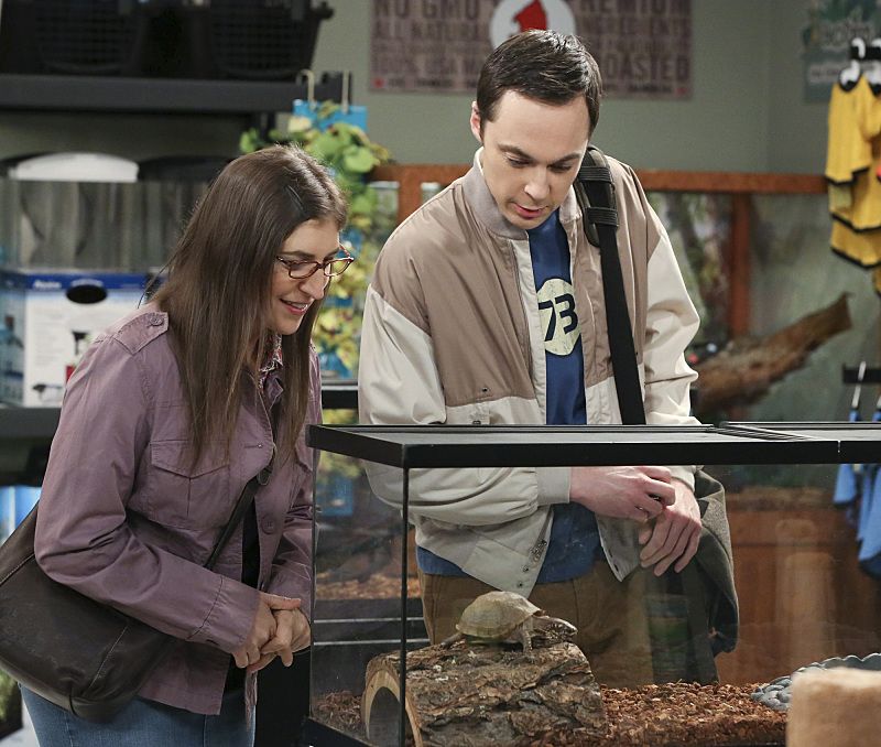 Big Bang Theory recap: Life Mars?