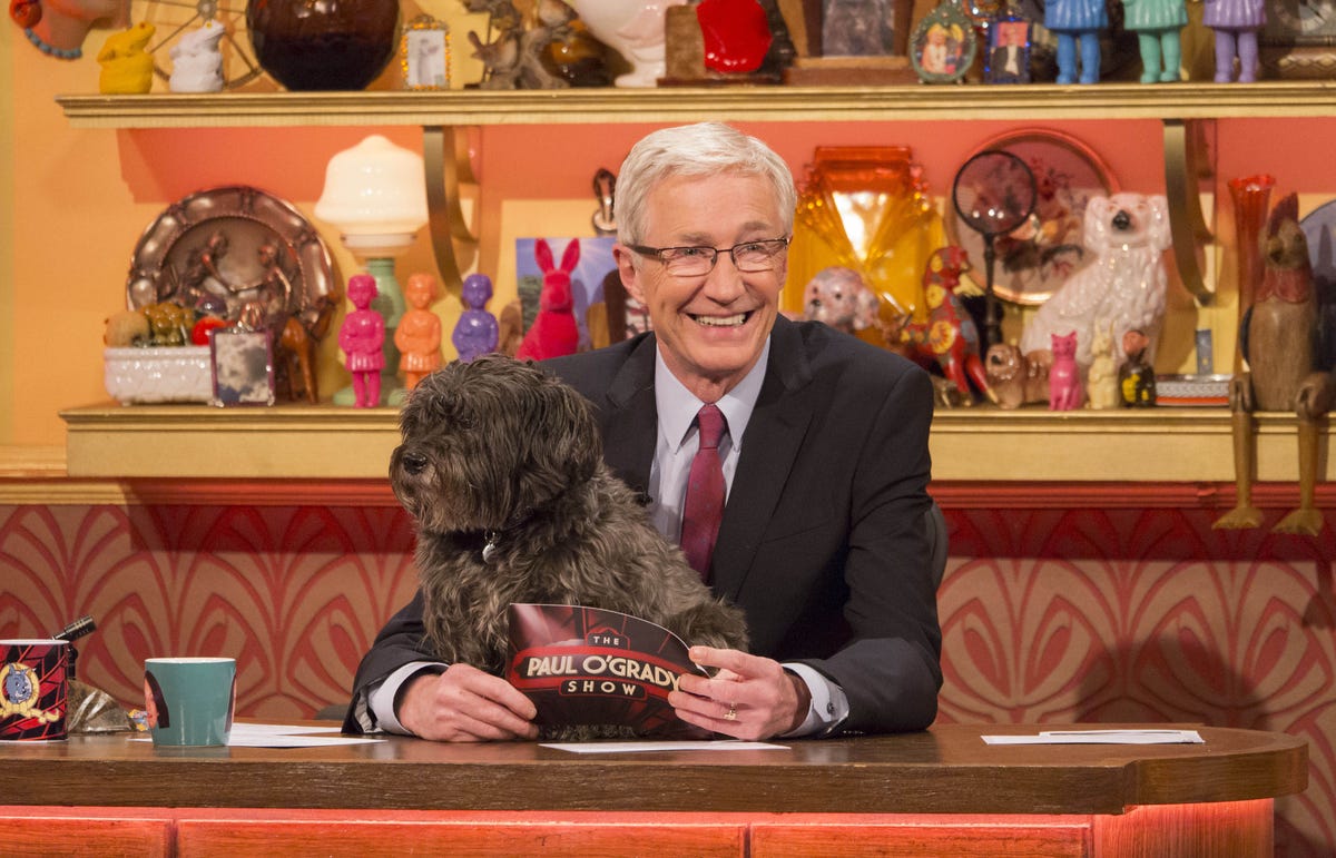 UK TV ratings: Paul O'Grady: For the Love of Dogs tops Thursday night - When Is Paul O'grady For The Love Of Dogs On