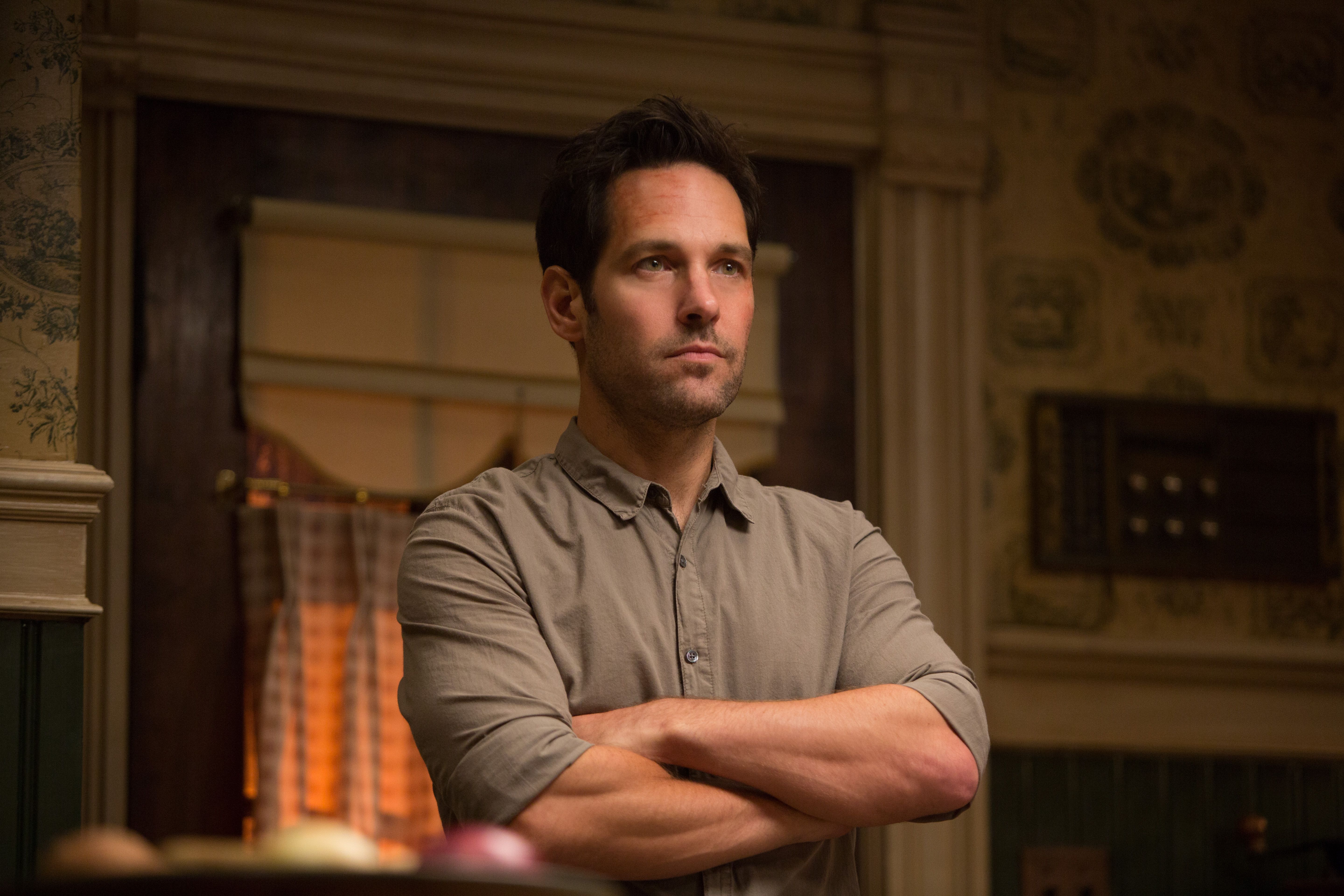 paul rudd movies: Ant-Man and the Wasp: Quantumania actor Paul