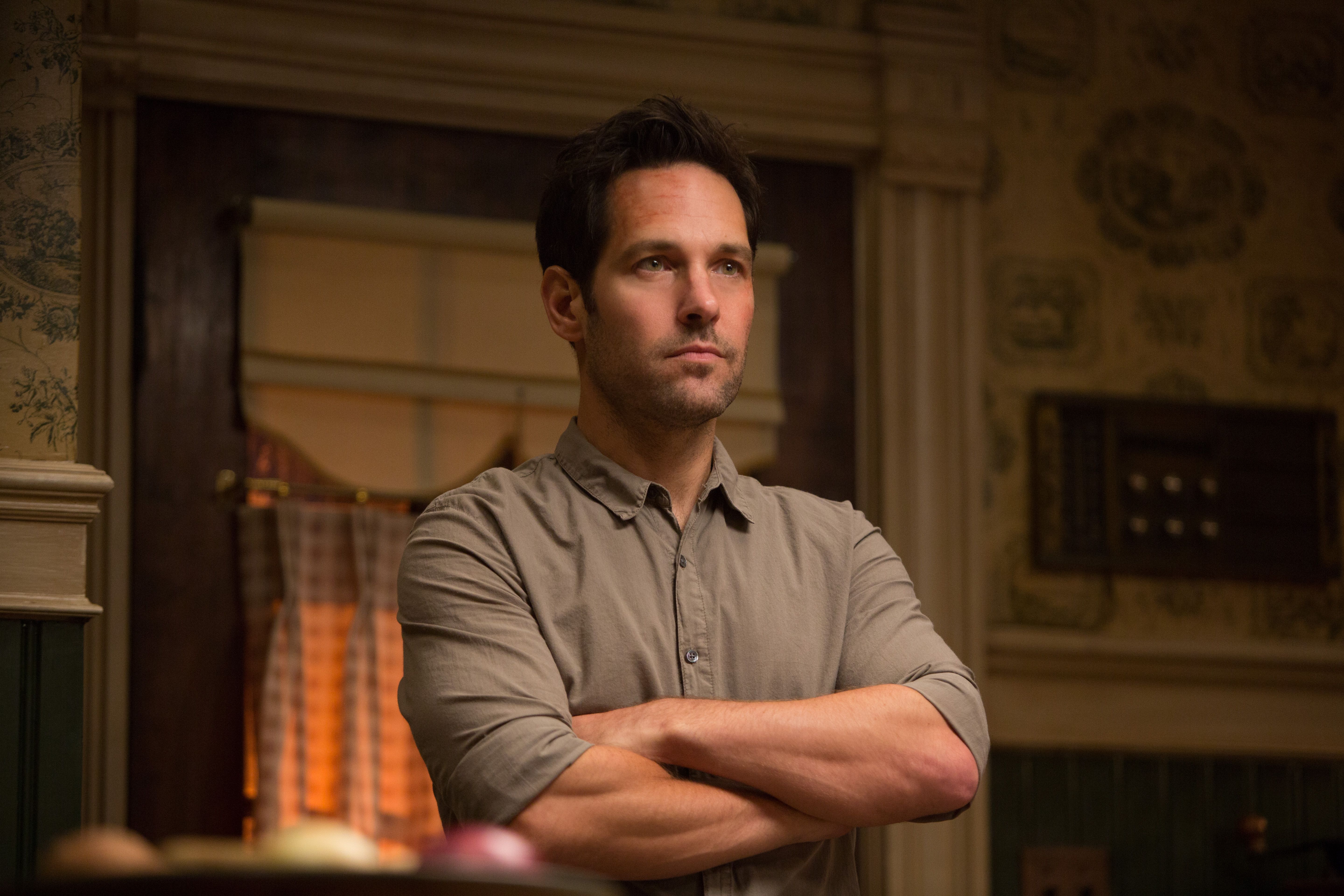 Paul Rudd cast as Ant-Man