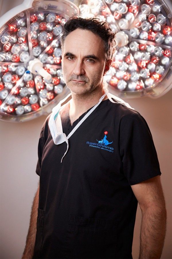 The Supervet Jersey - The Supervet