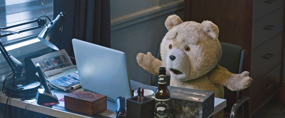 ted the teddy bear drinking alcohol and looking exasperated at his laptop