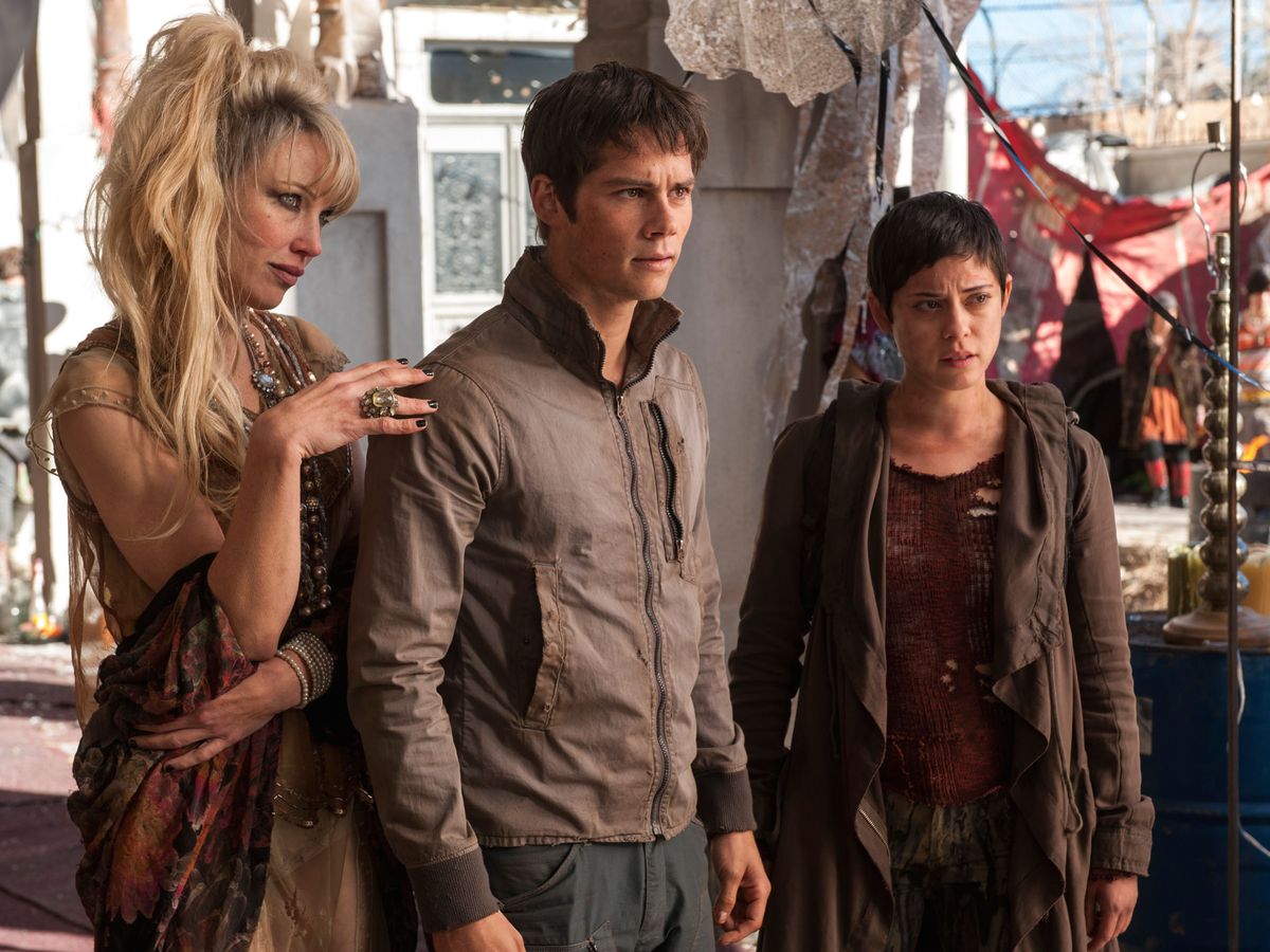 Maze Runner' Petition Demands Cast Apologize for Stealing