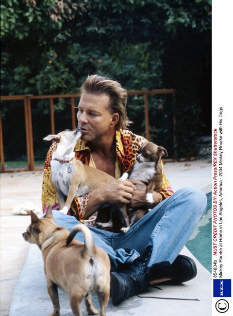 Mickey Rourke says his dog saved his life