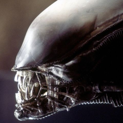 The Complete Alien Timeline From Prometheus To Alien Resurrection