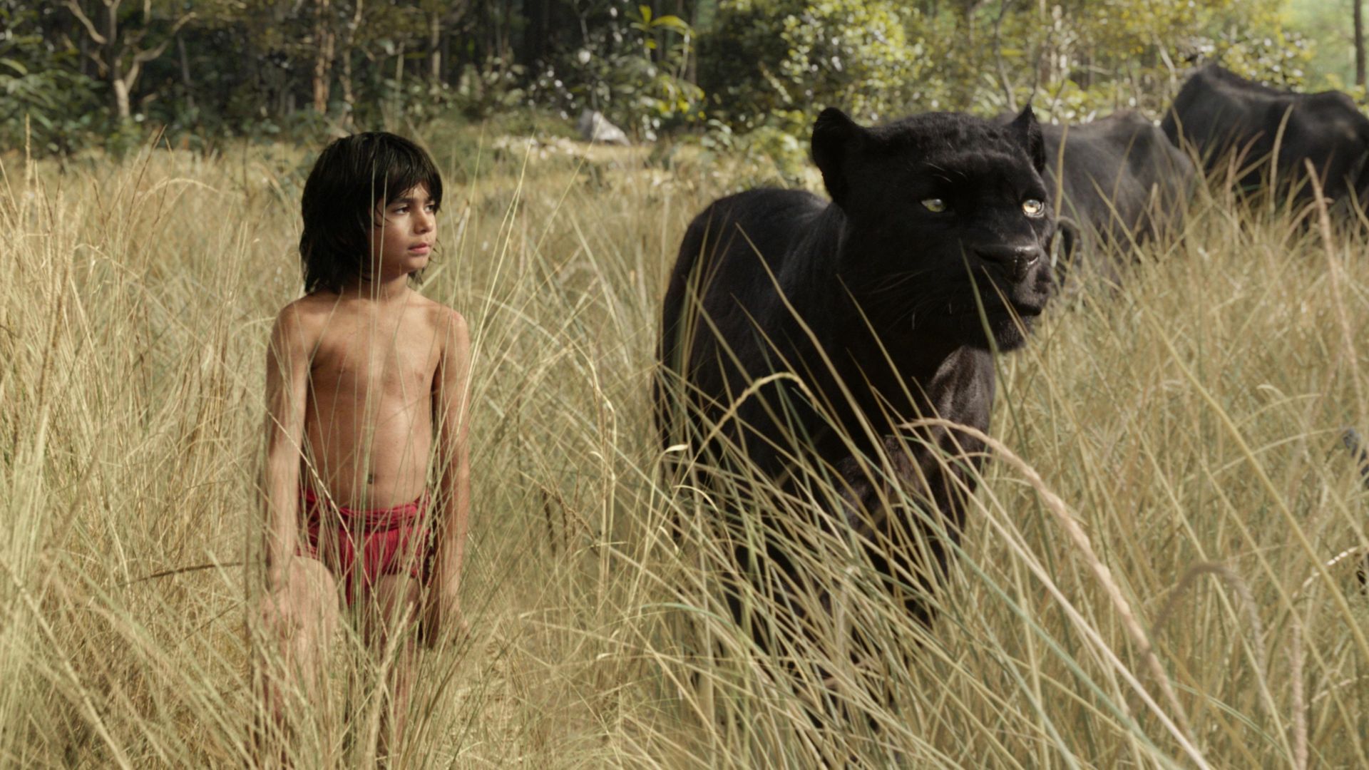 The Jungle Book 2 release date, cast, plot