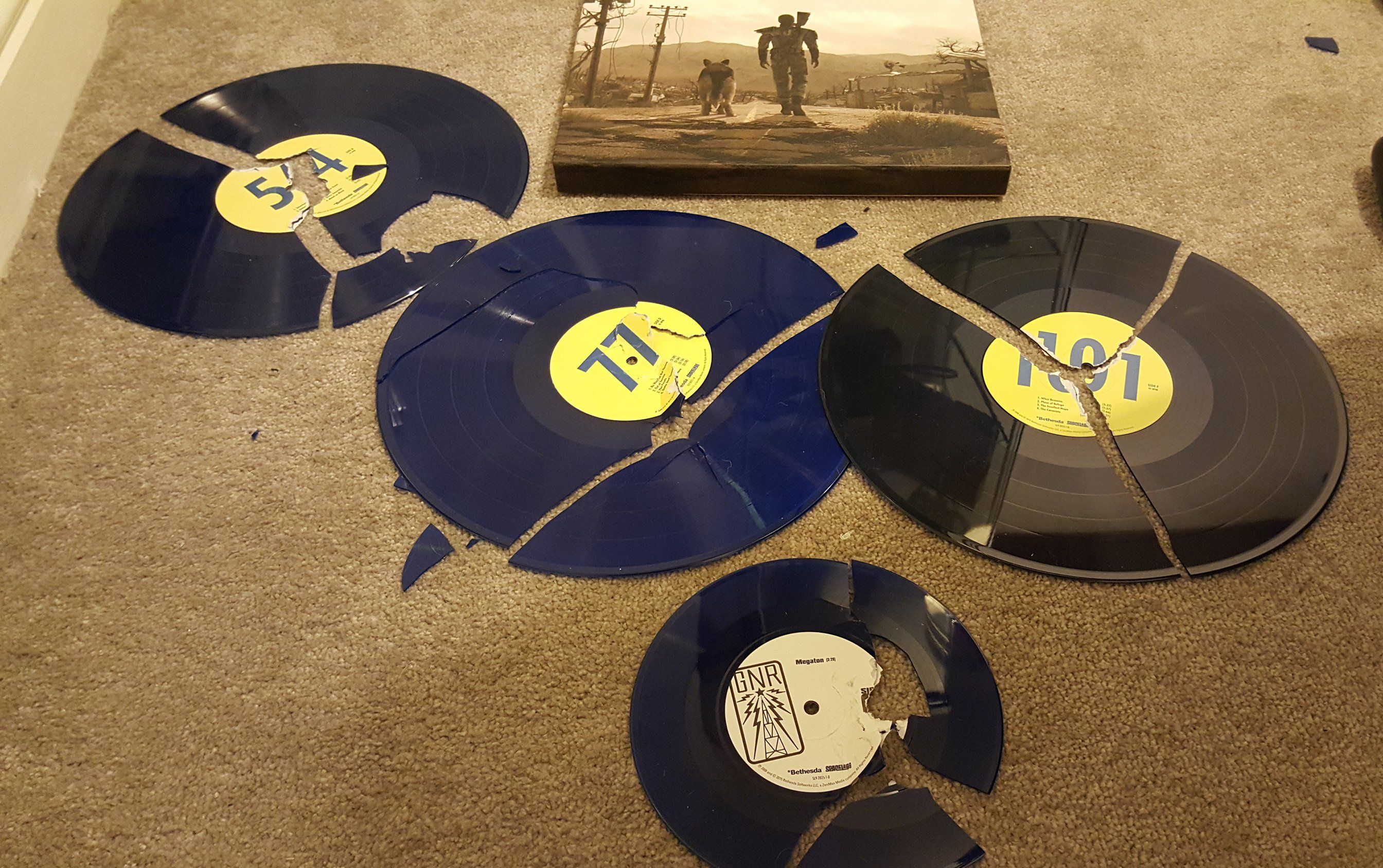 Fallout fan forced to DESTROY limited edition records