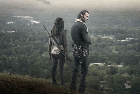 Michonne und Rick Grimes über The Walking Dead