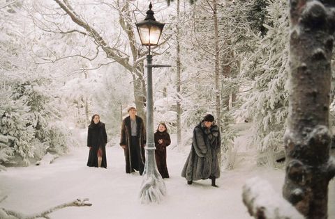 The Chronicles Of Narnia Revival Taps Marvel Director