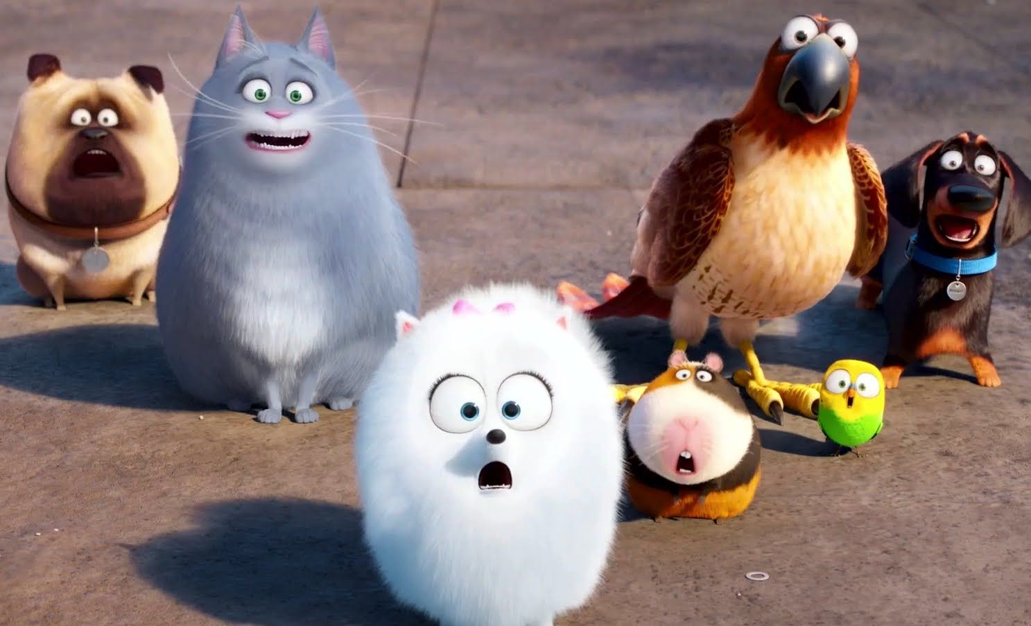 The Secret Life Of Pets Review The Cats Whiskers Or A Bit Of A Dog