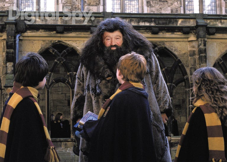Robin Williams – Hagrid
Harry Potter