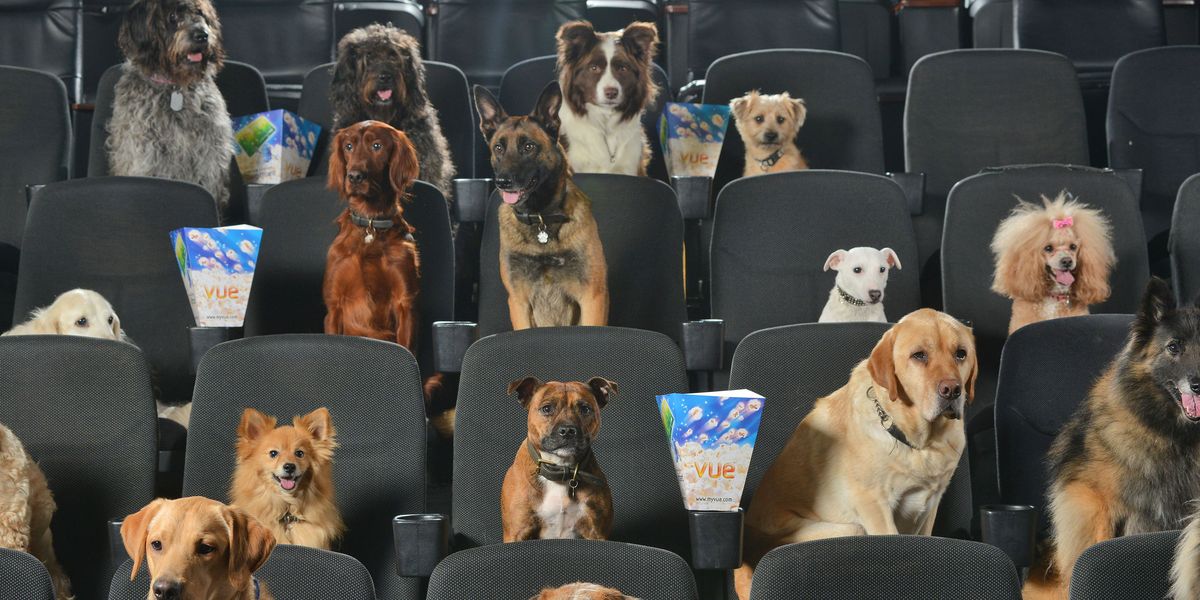 The very first Dog Film Festival comes to LA