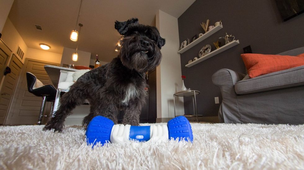 Smart Bone, Interactive Dog Toys, APP Control Smart Electronic