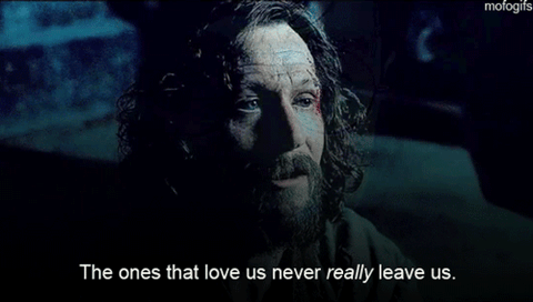 Ranking The Major Harry Potter Deaths In Order Of How Deeply They Traumatised Us Ranking The Major Harry Potter Deaths In Order Of How Deeply They Traumatised Us