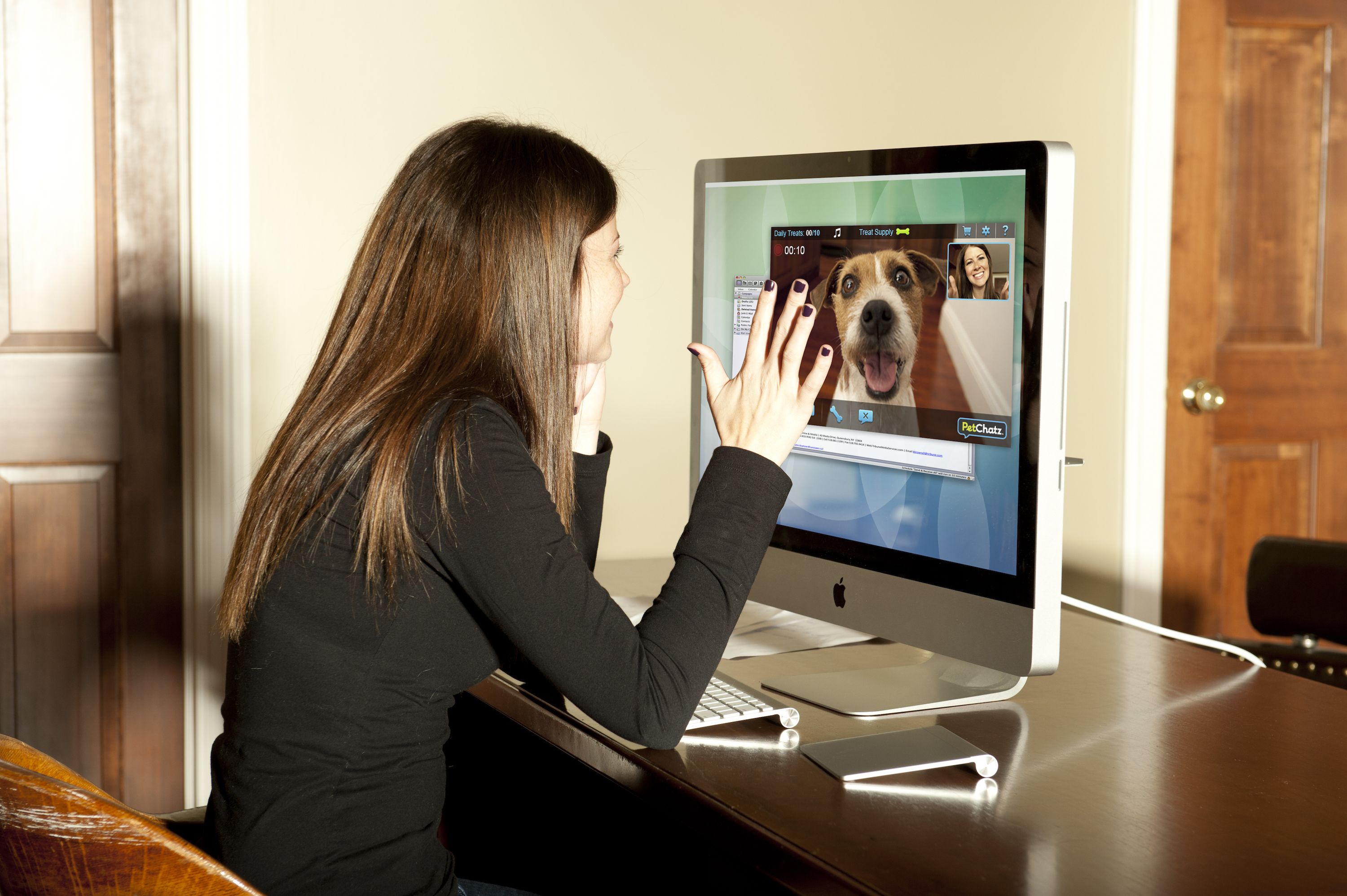 This device will let you video chat with your pet while you're at work