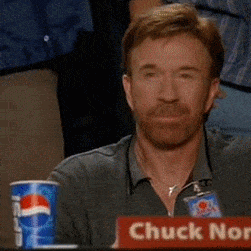 Chuck Norris approves gif