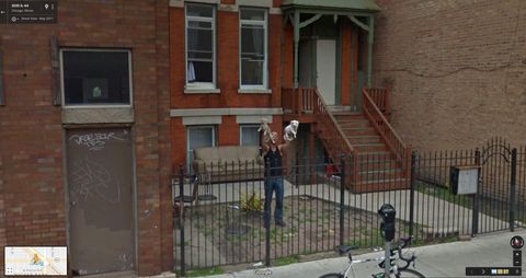 Google Street View Lion King puppies