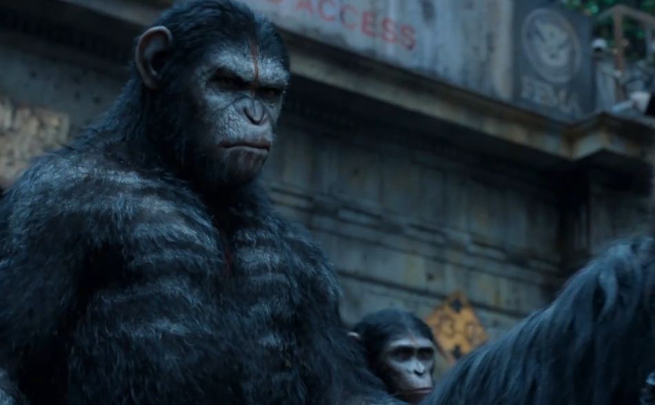 rise of the planet of the apes synopsis