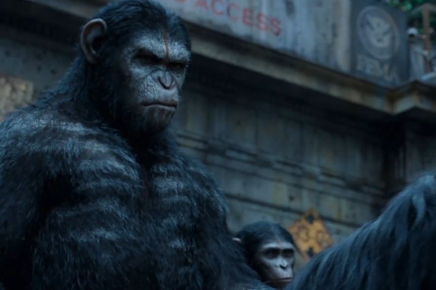 Dawn of the Planet of the Apes': Other Monkey and Ape Movies – The  Hollywood Reporter