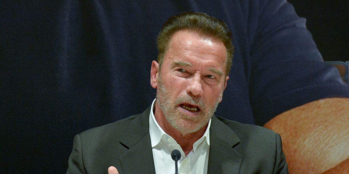 Arnold Schwarzenegger's Celebrity Apprentice catchphrase is exactly ...