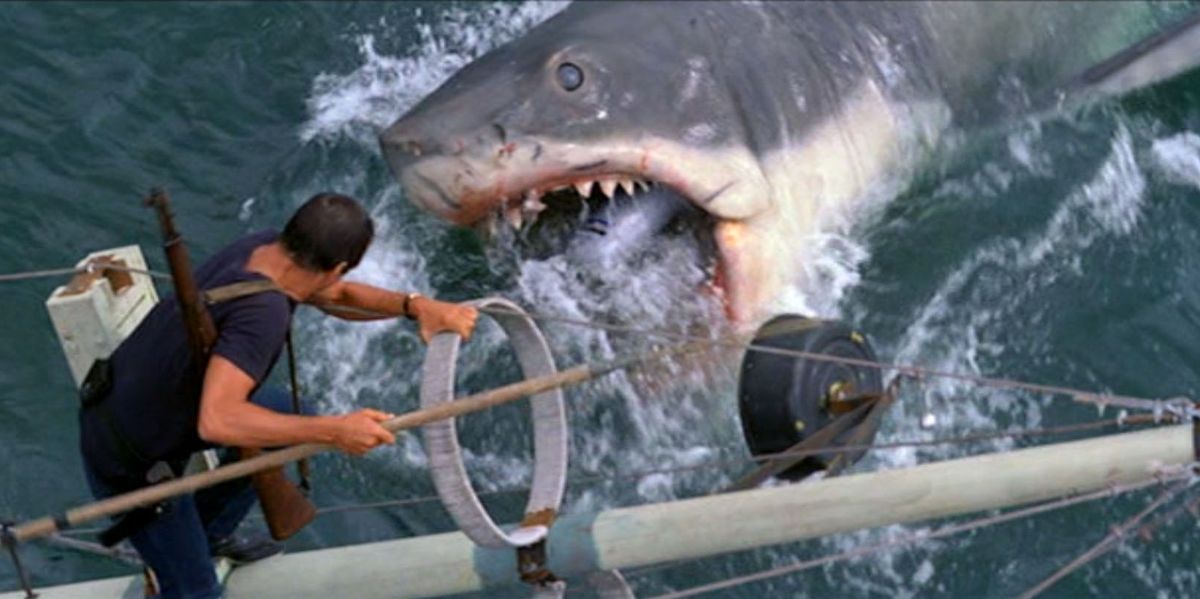 Steven Spielberg Turned Down A Jaws Reboot