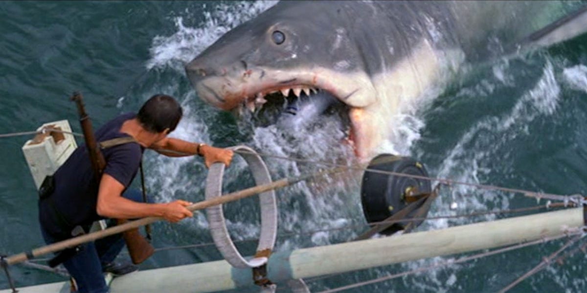 Steven Spielberg Turned Down A Jaws Reboot Steven Spielberg Turned Down A Jaws Reboot