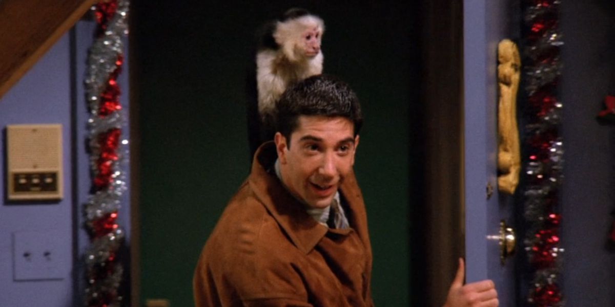 Sorry Friends fans David Schwimmer didn t actually like 