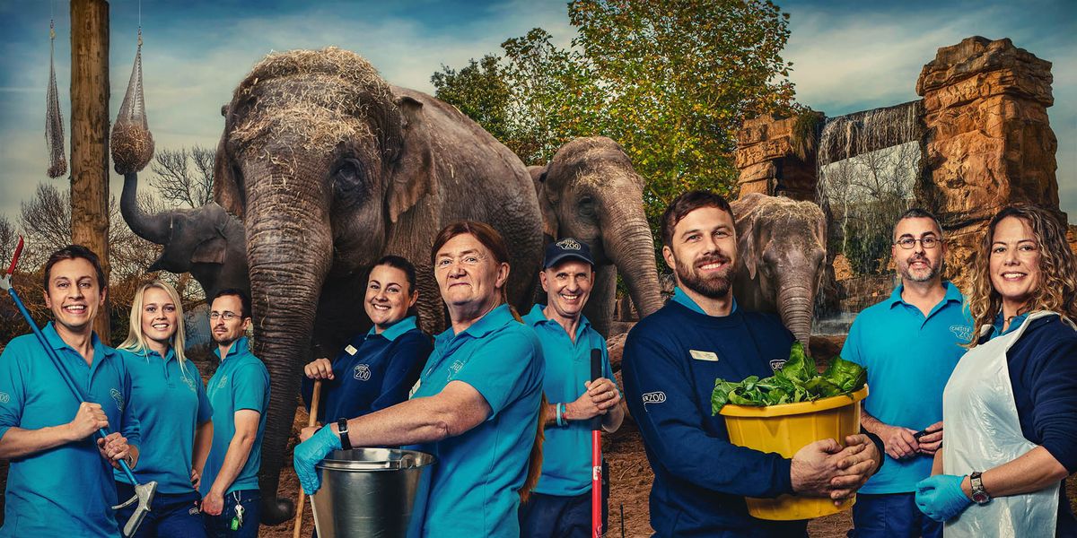 the secret life of the zoo season 10 where to watch