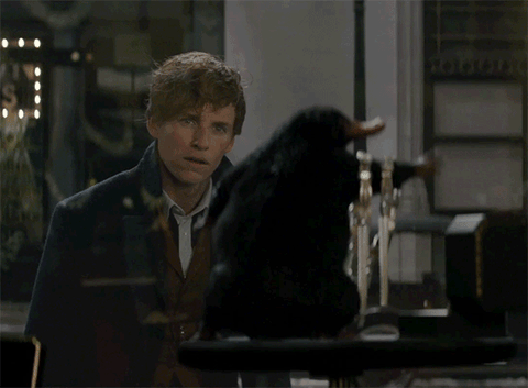 JK Rowling responds to fan tweet about Fantastic Beasts and Where ...
