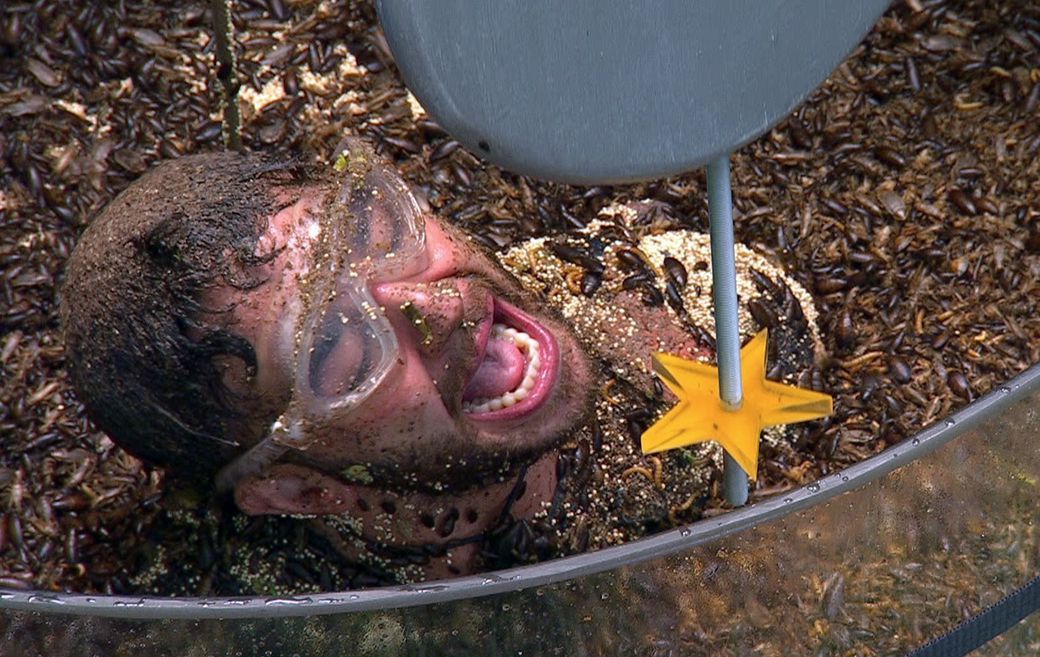 This series of I'm a Celebrity will feature a record 160,000 bugs in ONE  trial